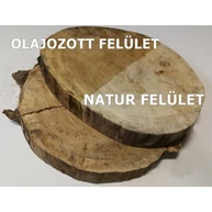 Nyárfa rönk fa szelet  átm.  500-600 mm 40-70 mm vastag fa korong 17. sz.