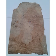 Furnérlemez kőrisfa gyökér 0,6 mm 720x400 mm 0,28 m2/ 1 lap / csomag PSZÜ FU