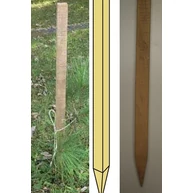 Akác karó hegyezett 22x22x1000 mm 4 db/csomag HU++ NY