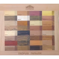 Faminta intarzia panel 480x420 mm trópusi fafajokból