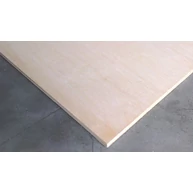 Rétegelt lemez nyírfa BB/CP  9x2500x1250 mm 3,125 m2 / tábla DO