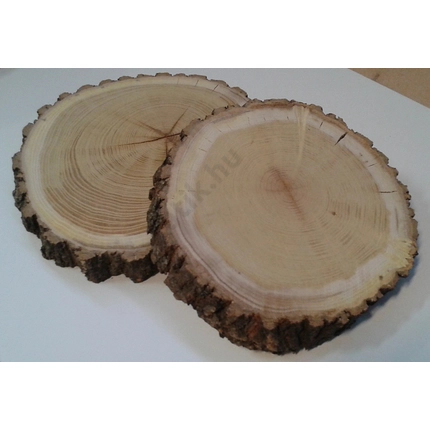 Akácfa rönk fa szelet  150-200 mm 30-50 mm vastag fa korong csiszolt felülettel 2. sz.